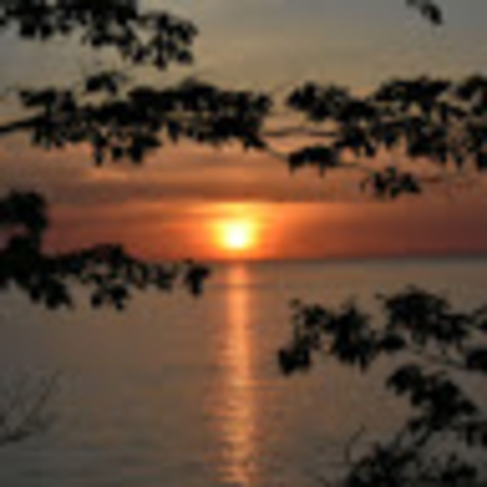 Meet your Posher, Kaylee